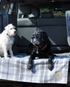 tartan-waterproof-dog-throw-in-car